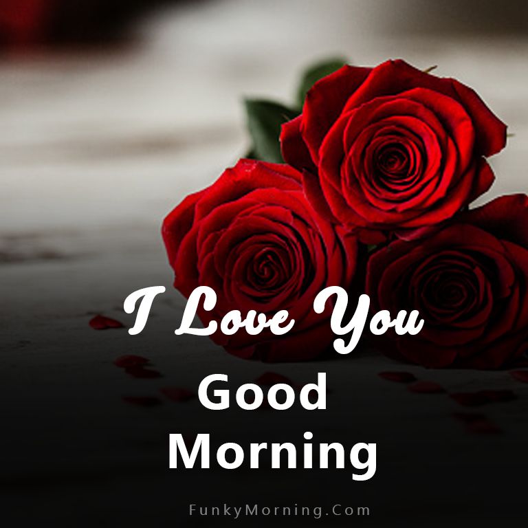 beautiful good morning love images