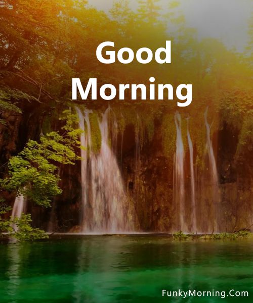 120 Good Morning Nature Images  Wishes  Good Morning Wishes