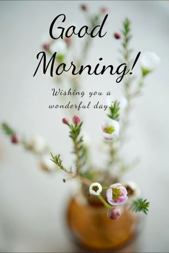 218+ Fresh Good Morning Images [Good Morning] HD Pics Download