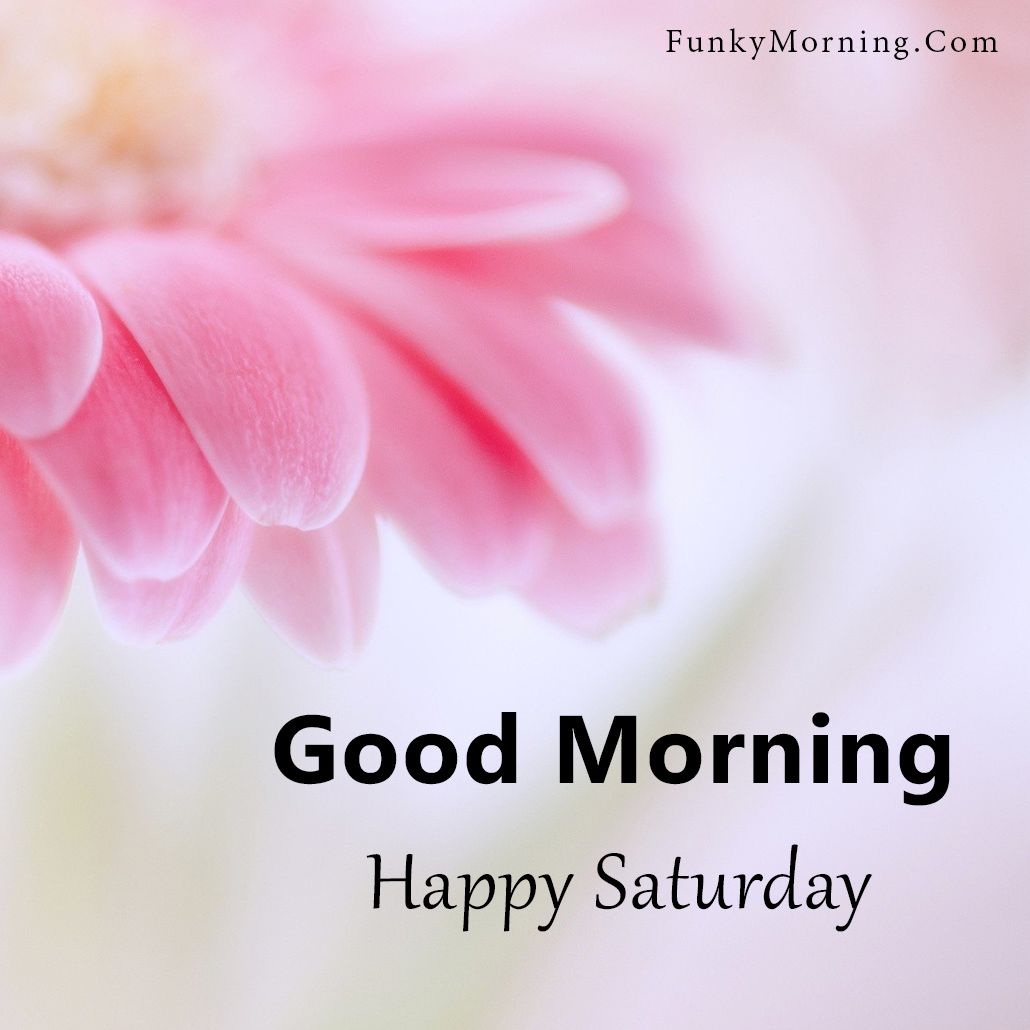 Top 999+ good morning saturday images hd – Amazing Collection good morning saturday images hd Full 4K