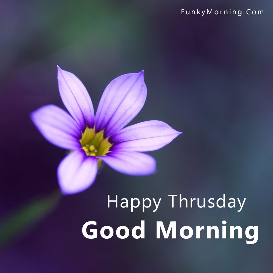 Top 999+ good morning thursday images for whatsapp – Amazing Collection good morning thursday images for whatsapp Full 4K