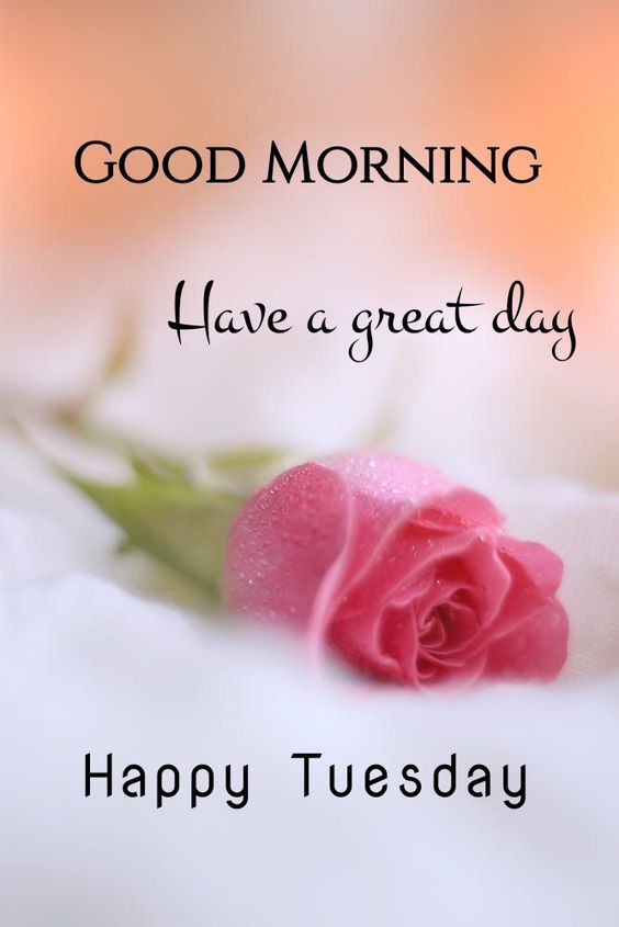 125+ Best Tuesday Good Morning Images 2023 Pics HD Download