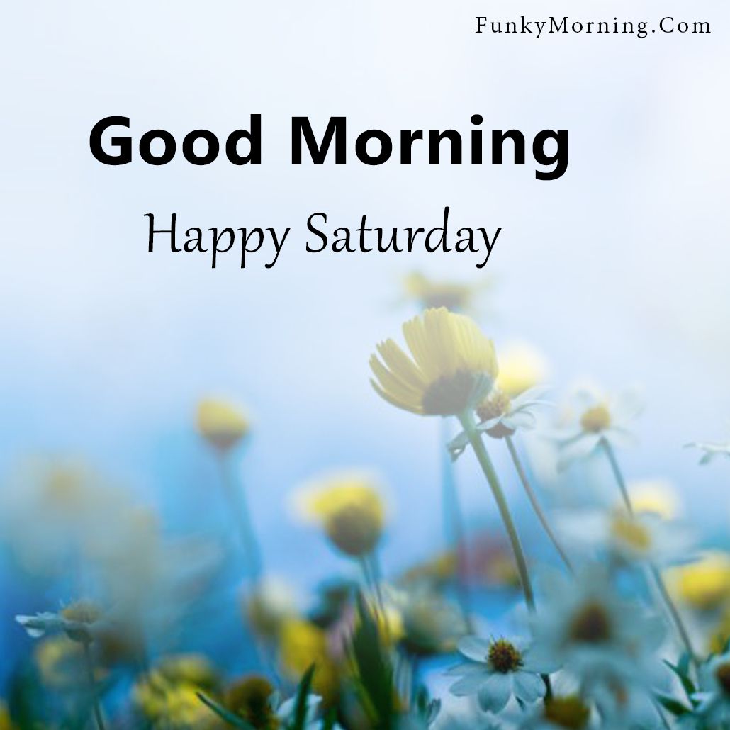 Best Collection of 999+ Good Morning Happy Saturday Images in Full 4K ...